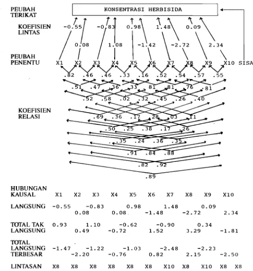 Gambar 2.  Diagram Lintas antara Pellbah Penentll dan Konsentrasi Herbisida dengan melibat-kan  Tanaman  Tebu. 