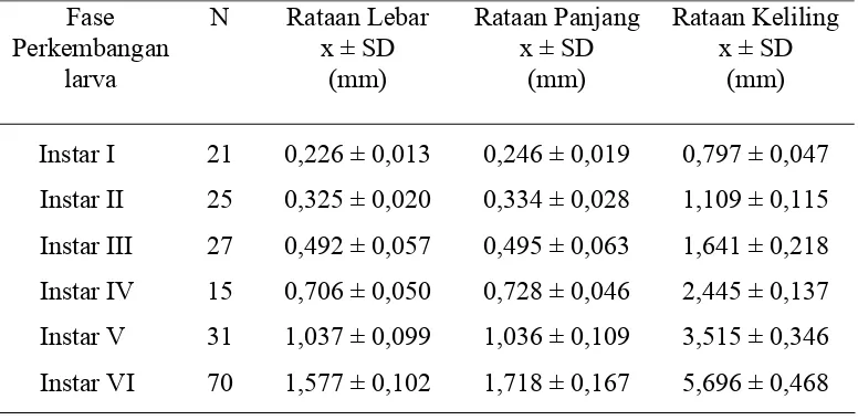 Tabel 5  Ukuran kapsul kepala larva S. pectinicornis  