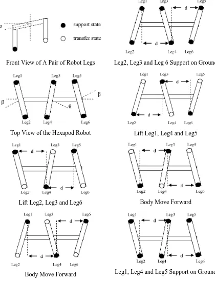 Figure 2.3: 3+3 Tripod Gait Movement[10] 