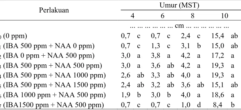 Tabel 4. Panjang tunas (cm) setek tanaman buah naga pada berbagai kombinasi IBA dan NAA  