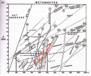Gambar 11 Diagram jenis protolith batuan metamorf (Robertson, 1990)