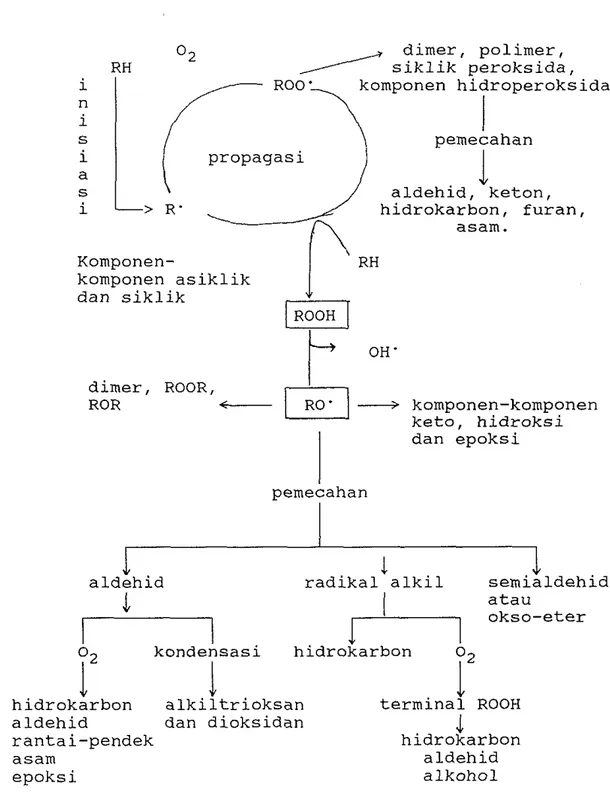 Gambar  4.  Skema umum oksidasi lemak  (Nawar,  1985) 