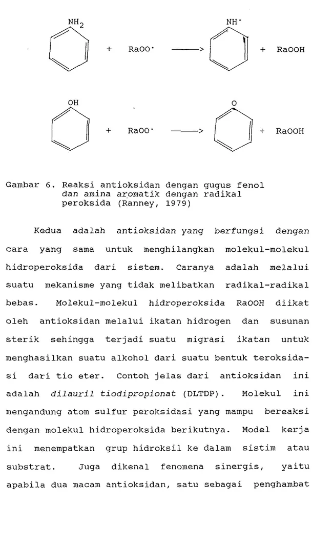Gambar  6.  Reaksi antioksidan dengan gugus fen01  dan amina aromatik dengan radikal 