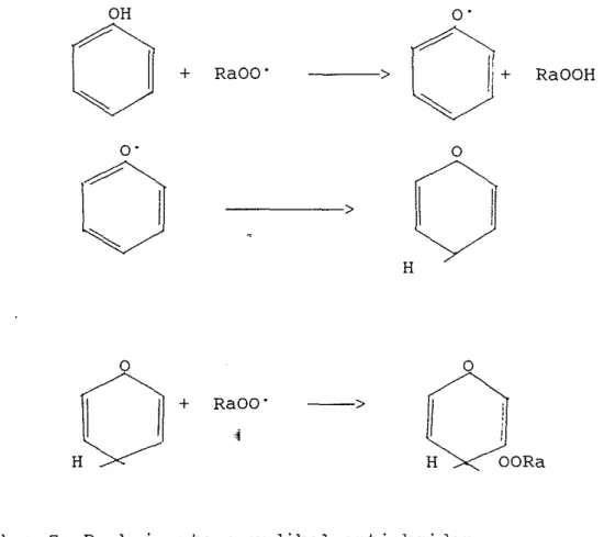 Gambar  7 .   Reaksi antara radikal antioksidan 