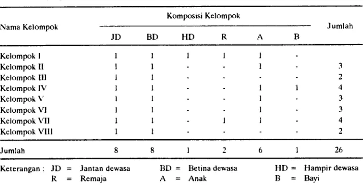 Tabel 3. Struktur Kelompok Ungko (Hylobafes agilis) di Sekitar Pos TPI Sungai Kubu. PT IFA Pasir Mayang