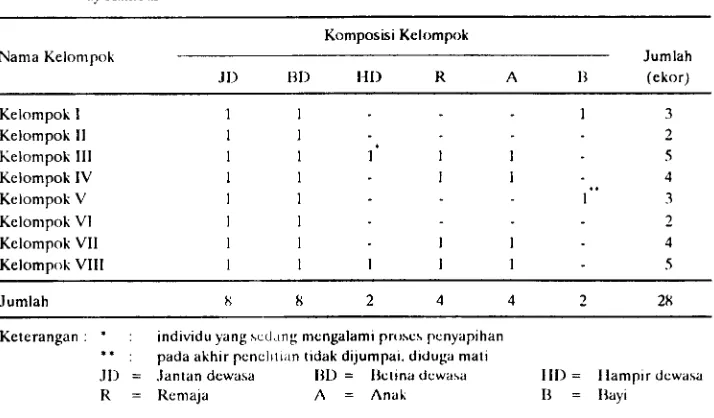 Tabel 1. Struktur Kelompok Siamang (Hyloba~es syndacrylus) di Sekitar Pos Penjagaan Way Kanan TN 