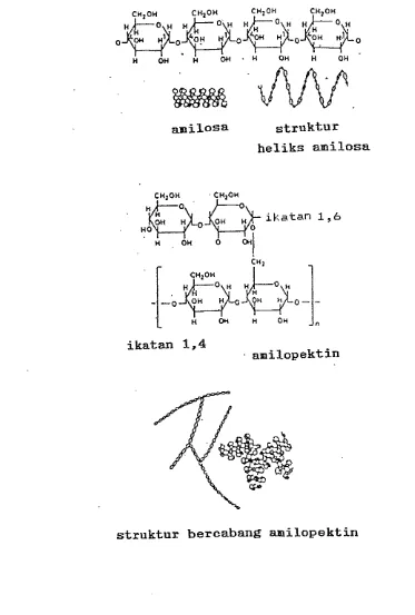 Gambar 2 .  Struktur 