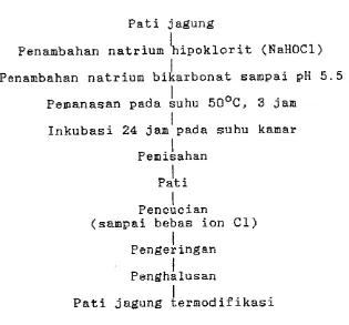 Gambar 6. Bagan pembuatan p a t i  jagung termodif i k a s i  