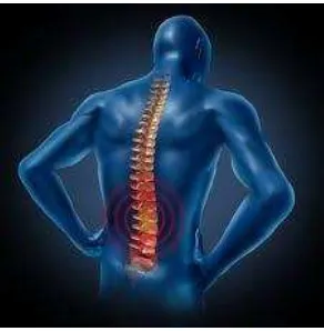 Figure. 2. Low back pain region [8]. 