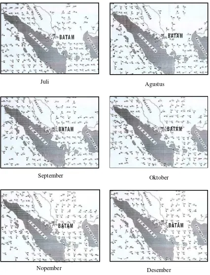 Gambar 6  Pola arus air laut di perairan Batam dan sekitarnya  pada bulan   Juli - Desember  (PT Bumimas Batamjaya, 2001) 
