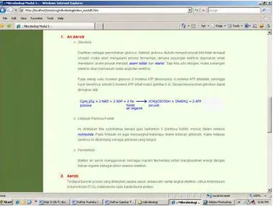 Gambar 16   mikro_modul5.htm pada jendela browser Microsoft IE, bagian 2 