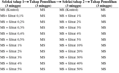 Tabel 1. Perlakuan filtrat R. solanacearum pada kultur kalus embriogenik jahe 