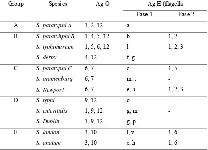Tabel 3. Struktur Antigen Salmonella spp. (Holt, 1979) 