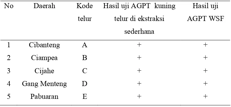 Tabel 6 Hasil Uji AGPT terhadap Salmonella sp. 
