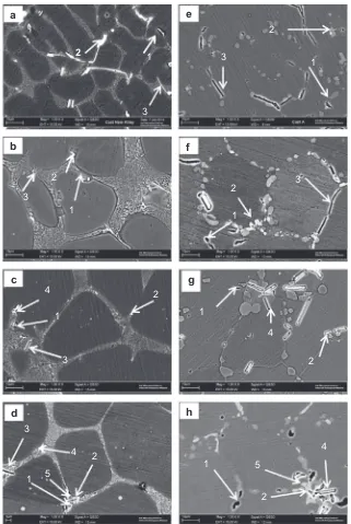 Fig. 11. SEM back scatter electron images of the alloys (a) as-cast alloy A (0.5 wt%Mg), (b) thixo alloy A (0.5 wt%Mg), (c) thixo alloy B (0.8 wt%Mg), (d) thixo alloy C(1.2 wt%Mg) and in T6 condition (e) as-cast alloy A (0.5 wt%Mg), (f) thixo alloy A (0.5 wt%Mg), (g) thixo alloy B (0.8 wt%Mg), and (h) thixo alloy C (1.2 wt%Mg) (arrow 1: Mg2Si,2: Al2Cu, 3: b-Al5FeSi, 4: Al9FeMg3Si5, 5: Al5Cu2Mg3Si5).