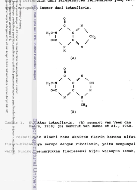 Gambar 1. Struktur toksoflavin. (A) menurut van Veen dan 