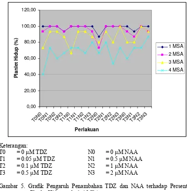 Gambar 5. Grafik Pengaruh Penambahan TDZ dan NAA terhadap Persentase Planlet Hidup pada 1-4 MSA  