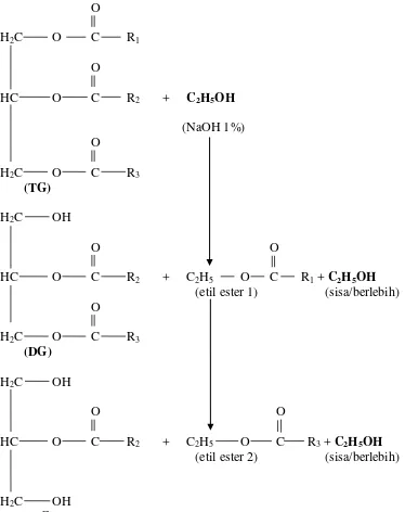 Gambar 1.  Tahapan reaksi etanolisis trigliserida (TG) menghasilkan digliserida  (DG), monogliserida (MG), dan etil ester asam lemak (Hasanuddin  dkk., 2003 dalam Kahsbullah, 2012)