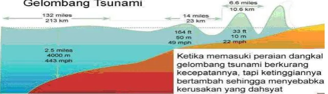 Gambar 4 Perbandingan kecepatan dan tinggi gelombang     tsunami pada berbagai kedalaman laut 