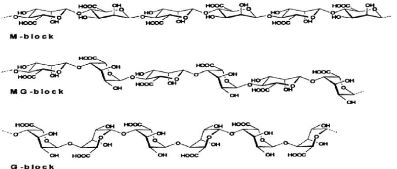 Gambar 2.7 Struktur alginat (Draget, dkk., 2005). 