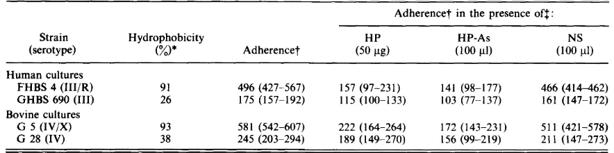 Table 4. Adherence of selected group B streptococci to human buccal epithelial cells 