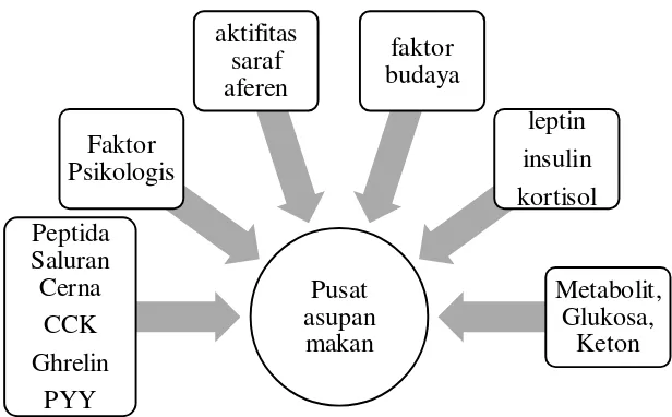 Gambar 2.2 Regulasi Sistem Oreksin (Flier dan Maratos, 2008. Biology Of 