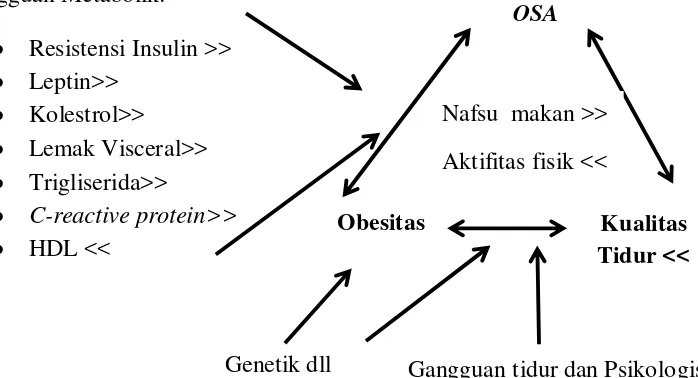 Gambar 2.4 Hubungan obesitas dengan OSA (Romero-Corral et al, 2009. Interactions Between Obesity and OSA