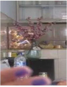 Gambar 4.5  Replika Bunga Meihua yang diletakkan di ruang tamu kediaman masyarakat Tionghoa desa Lincun Binjai  