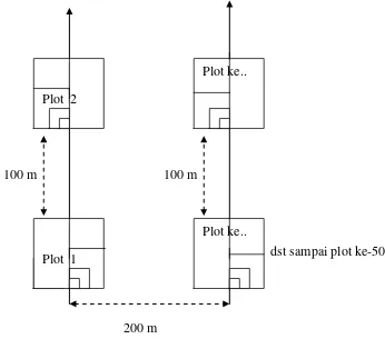 Gambar 3. Tata letak petak ukur. 