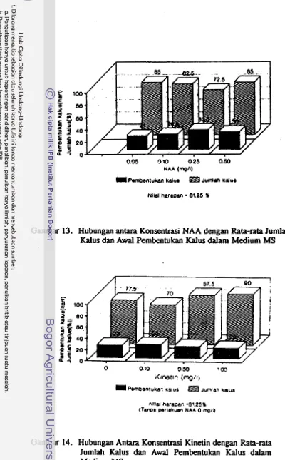 Gambar 13. Hubungan antara Konsentrasi NAA dengan Rata-rata Jumlah 