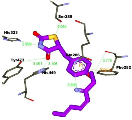 Fig. 1: Binding interaction pattern of TZD docked (purple) and imposed against co-crystal ligand (aryloxy phenyl-propanoic light colored is Loop 11/12, and wire-greacids-yellow) with H3 and H11 in complex with PPARγ