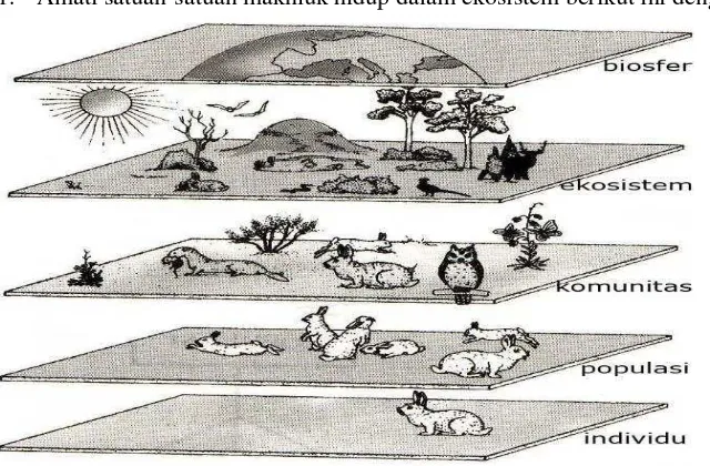 Gambar satuan-satuan ekosistem (Dikutip dari www.google.com) 