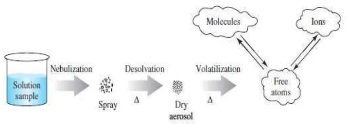 Gambar 2. Proses ionisasi spektroskopi emisi atom (Skoog et al., 2004). 