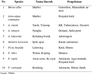 Tabel 1.  Beberapa tumbuhan obat Indonesia pada famili Moraceae 
