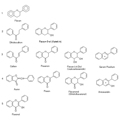 Gambar 5.  Tingkat oksidasi senyawa flavonoid (Manitto, 1992). 