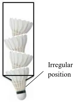 Figure 1.4 Illustration of feeder storage with irregular shuttlecocks’ position 