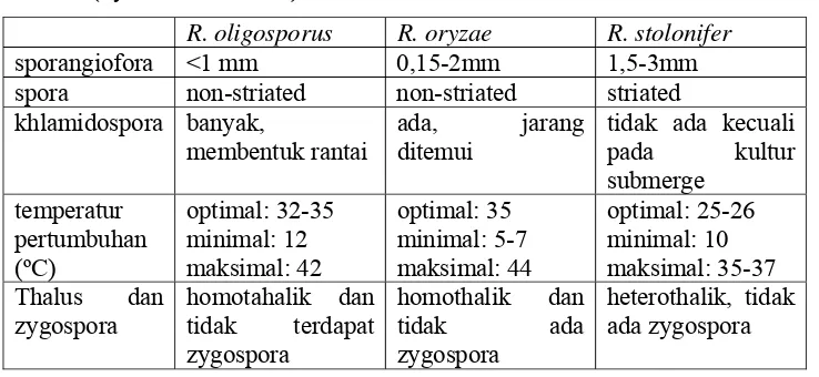 Tabel 3. Perbedaan sifat-sifat pokok Rhizopus sp. pada tempe  