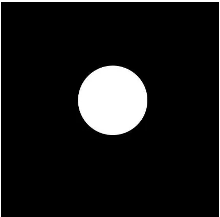 Figure 2: Notice how the white dot stands out from the black background. 