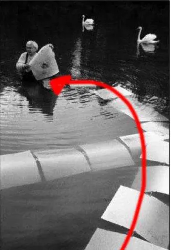 Figure 1: The main curve of the leading line taking you straight to the subject. 