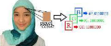 Gambar  6 Bit pada posisi LSB (Least Significant Bit). 
