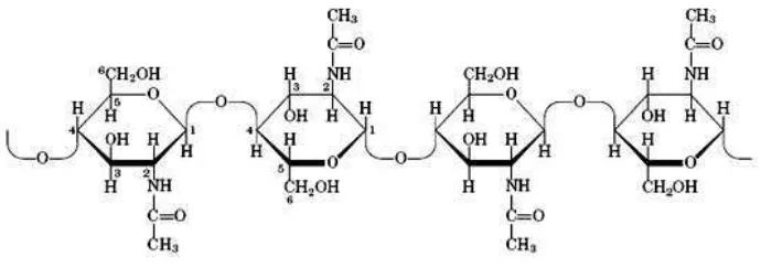 Gambar 1. Struktur kitin (Murray et al., 2003) 