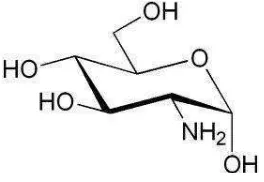 Gambar 6. Struktur N-asetilglukosamin (Anonim, 2013) 