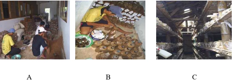 Gambar 3. Beberapa Fasilitas Produksi Jamur Tiram Putih di Komunitas P4S Nusa Indah, Tamansari