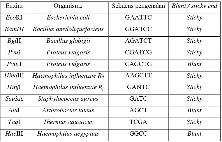 Tabel 1. Sumber enzim endonuklease restriksi dari organisme (Brown, 1990) 
