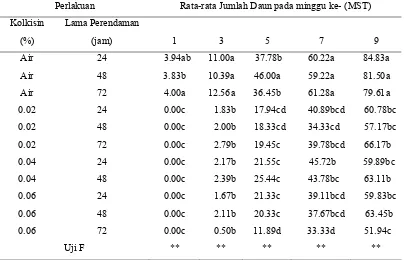 Tabel 6. Pengaruh Perendaman Kolkisin terhadap Rata-rata Jumlah Daun per Eksplan pada Tanaman Stevia rebaudiana Bertoni Secara In Vitro