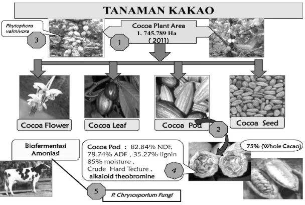 Gambar 2. Sumber pakan asal produk samping tanaman kakao