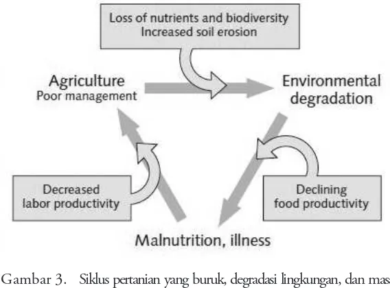 Gambar 3.  Siklus pertanian yang buruk, degradasi lingkungan, dan masalah 