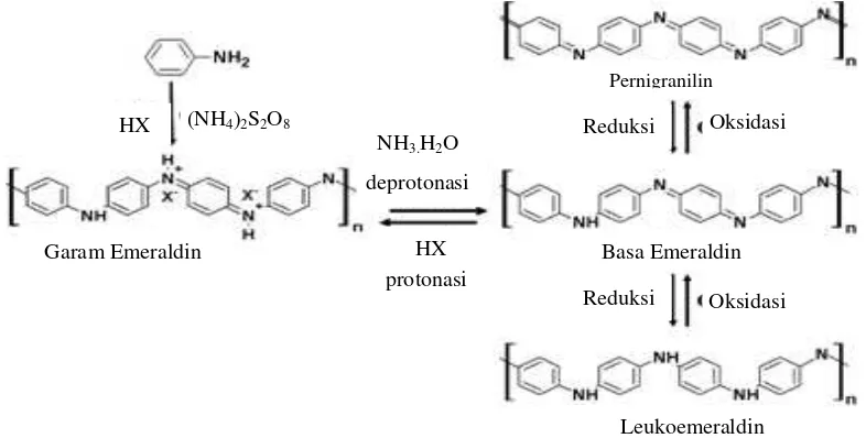 Gambar 13   Sintesis polianilin secara polimerisasi interfasial. Reaksi reversible garam/basa, protonasi/deprotonasi, dan redoks polimerisasi polianilin (Huang dan Karen 2005) 