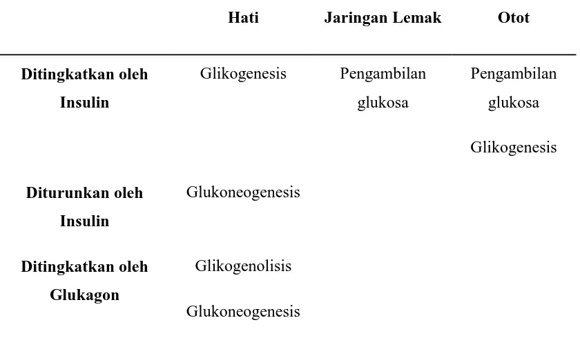 Tabel 2.2. Respons Jaringan terhadap Insulin dan Glukagon yang Berkaitan dengan Metabolisme Glukosa