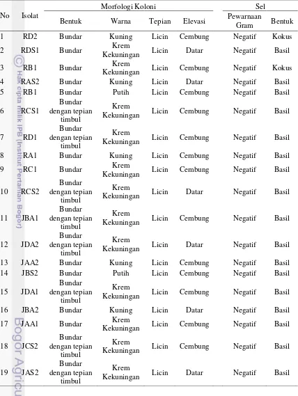 Tabel 1 Morfologi dan karakteristik isolat bakteri denitrifikasi 